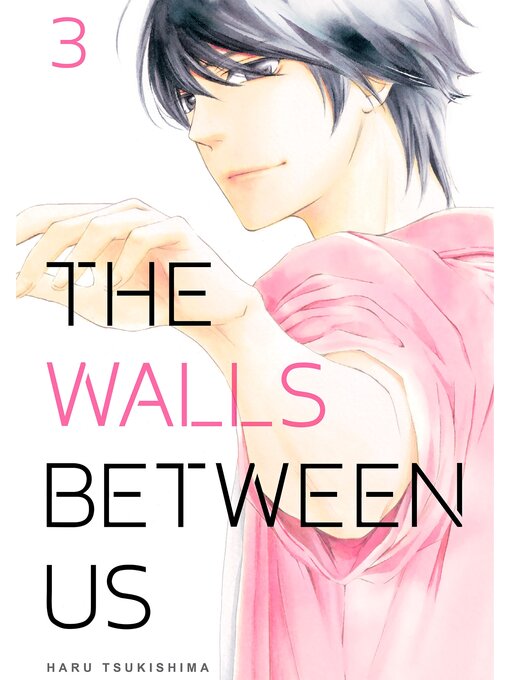 Title details for The Walls Between Us, Volume 3 by Haru Tsukishima - Wait list